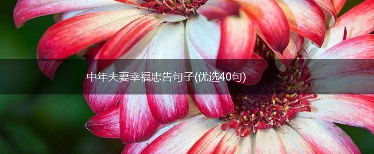 中年夫妻幸福忠告句子(优选40句),第1张
