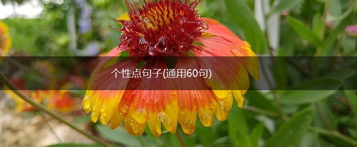 个性点句子(通用60句),第1张