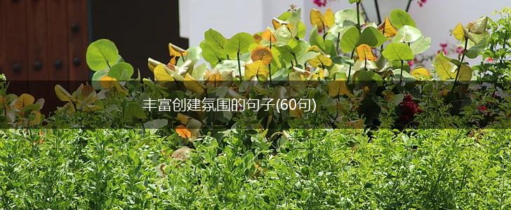 丰富创建氛围的句子(60句),第1张