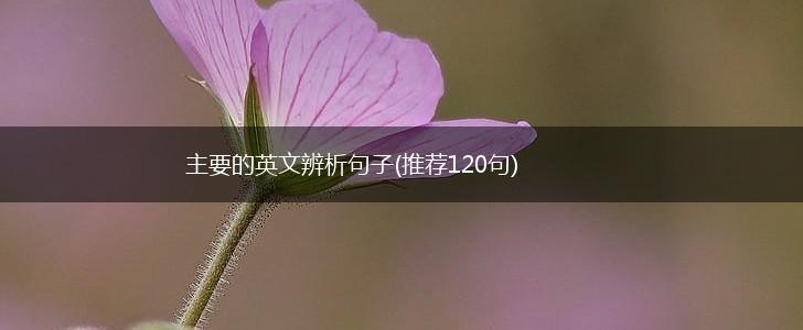 主要的英文辨析句子(推荐120句),第1张