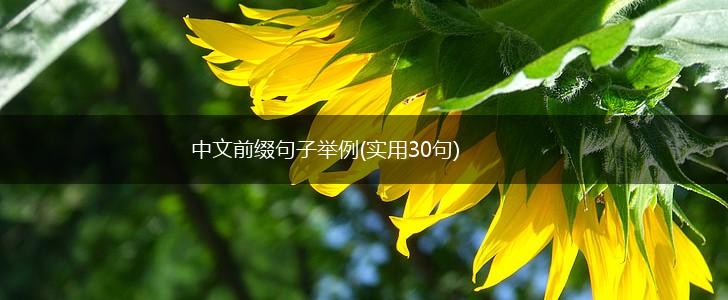 中文前缀句子举例(实用30句),第1张