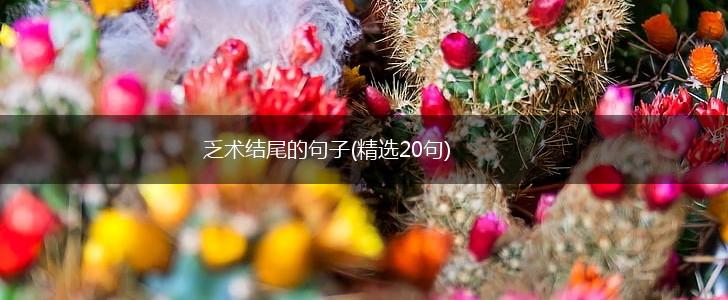 乏术结尾的句子(精选20句),第1张