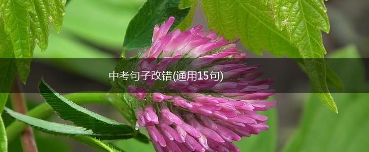 中考句子改错(通用15句),第1张