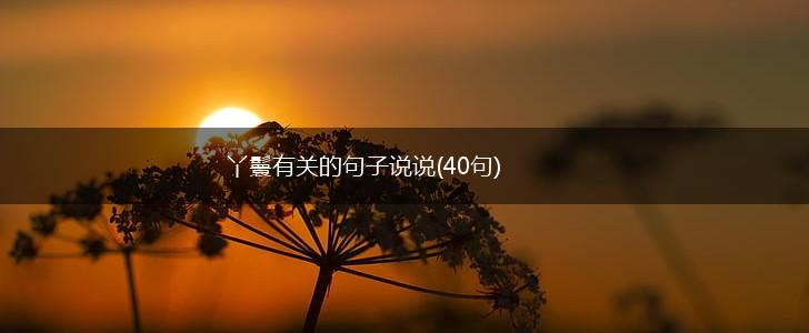 丫鬟有关的句子说说(40句),第1张
