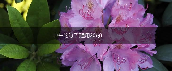 中午的句子(通用20句),第1张