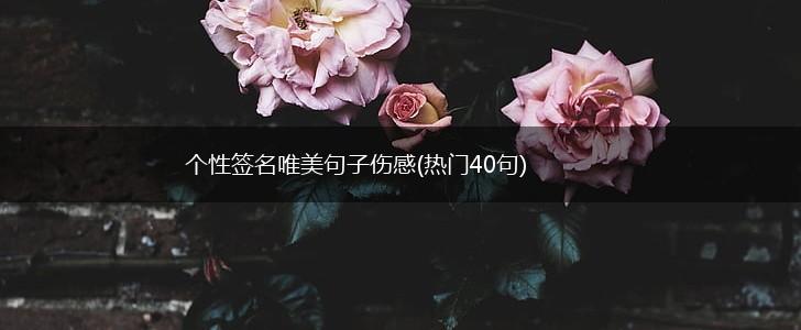 个性签名唯美句子伤感(热门40句),第1张