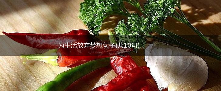 为生活放弃梦想句子(共10句),第1张