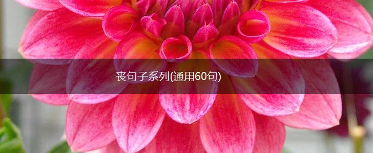 丧句子系列(通用60句),第1张