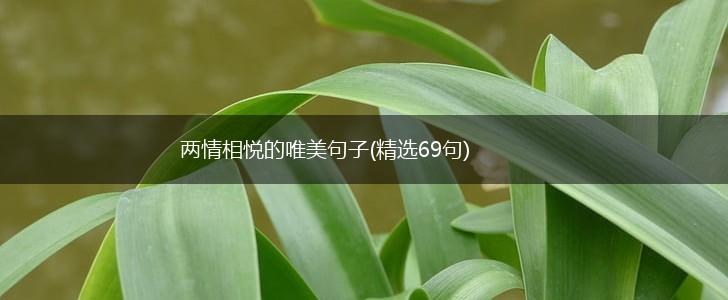 两情相悦的唯美句子(精选69句),第1张