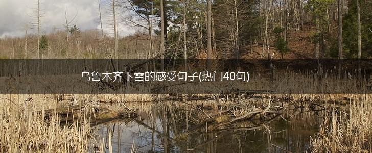 乌鲁木齐下雪的感受句子(热门40句),第1张