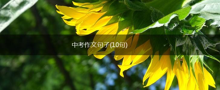 中考作文句子(10句),第1张