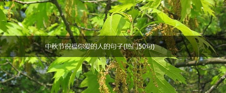 中秋节祝福你爱的人的句子(热门50句),第1张