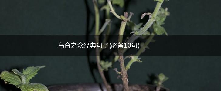 乌合之众经典句子(必备10句),第1张