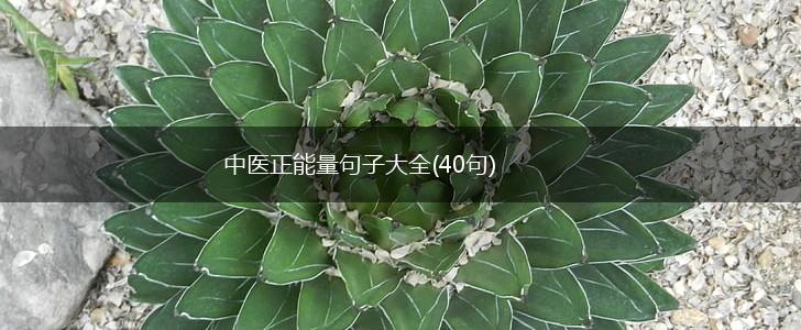 中医正能量句子大全(40句),第1张