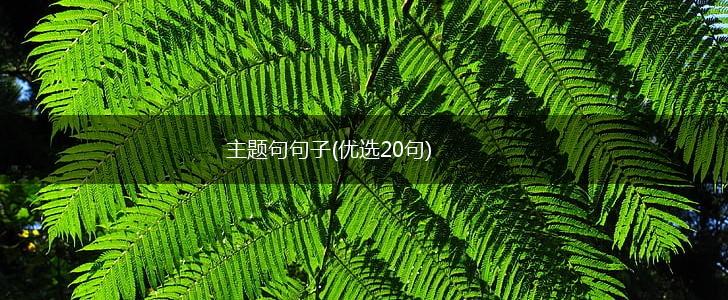 主题句句子(优选20句),第1张