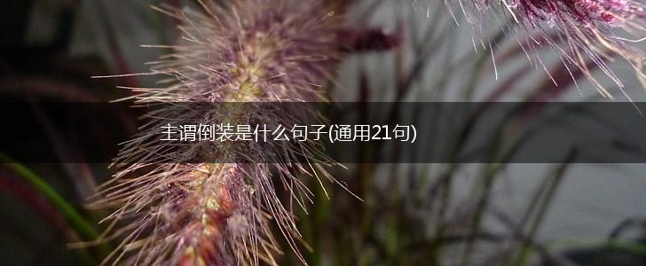 主谓倒装是什么句子(通用21句),第1张