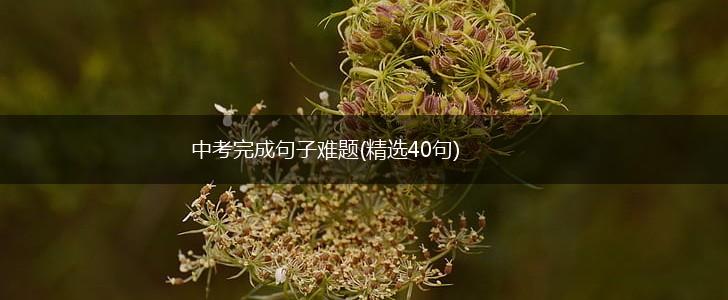中考完成句子难题(精选40句),第1张