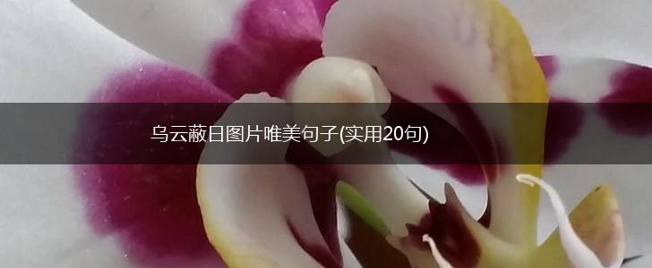 乌云蔽日图片唯美句子(实用20句),第1张