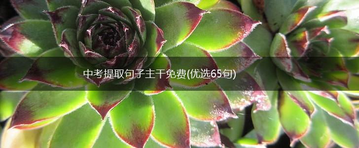 中考提取句子主干免费(优选65句),第1张