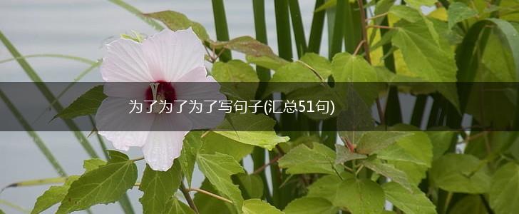为了为了为了写句子(汇总51句),第1张