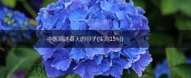 中医描述春天的句子(实用15句),第1张