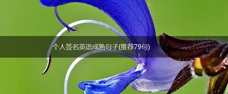 个人签名英语成熟句子(推荐79句),第1张