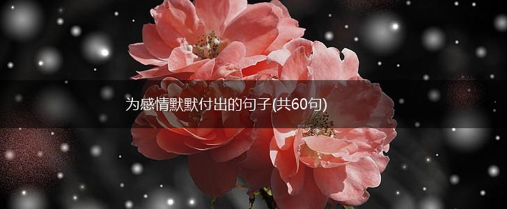 为感情默默付出的句子(共60句),第1张