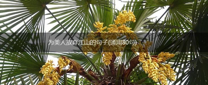 为美人放弃江山的句子(通用80句),第1张
