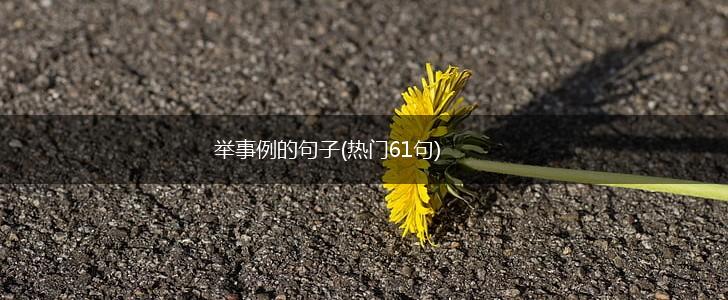 举事例的句子(热门61句),第1张