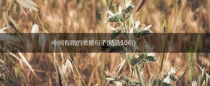 中间有路的美景句子(精选50句),第1张