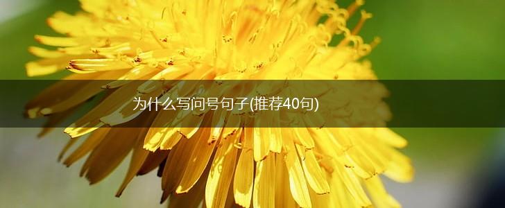 为什么写问号句子(推荐40句),第1张