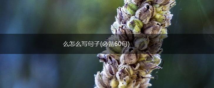 么怎么写句子(必备60句),第1张