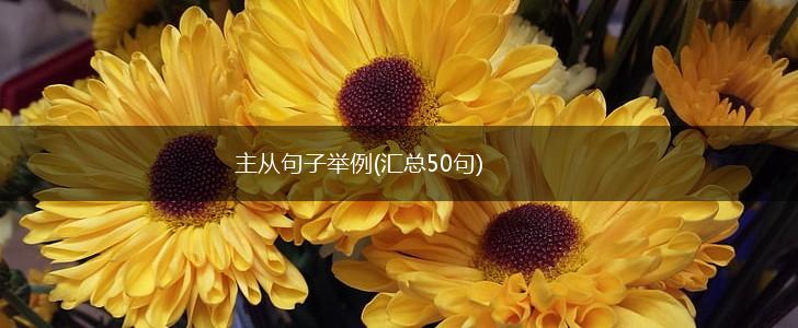 主从句子举例(汇总50句),第1张