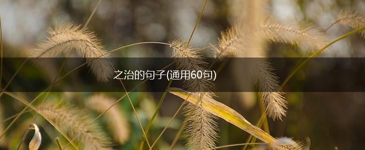 之治的句子(通用60句),第1张