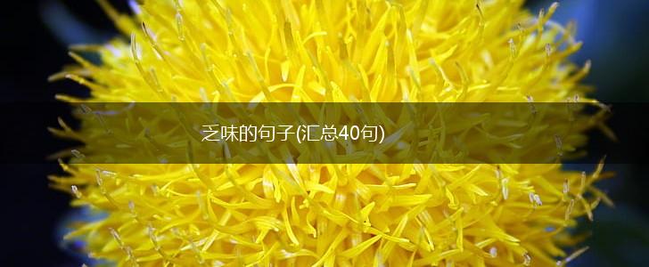乏味的句子(汇总40句),第1张