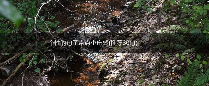个性的句子带点小伤感(推荐30句),第1张