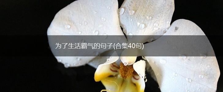 为了生活霸气的句子(合集40句),第1张