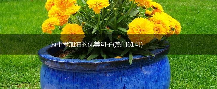 为中考加油的优美句子(热门61句),第1张