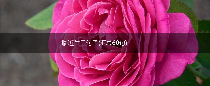 临近生日句子(汇总60句),第1张