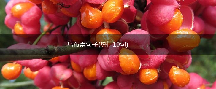 乌布雷句子(热门10句),第1张