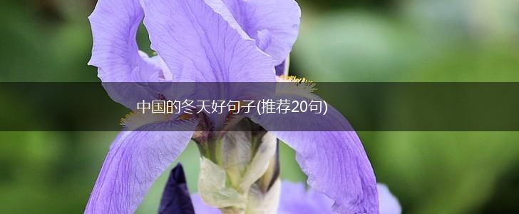 中国的冬天好句子(推荐20句),第1张
