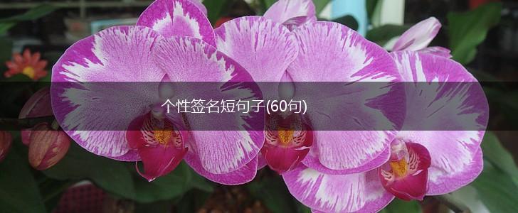 个性签名短句子(60句),第1张