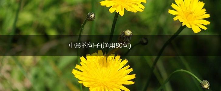 中意的句子(通用80句),第1张
