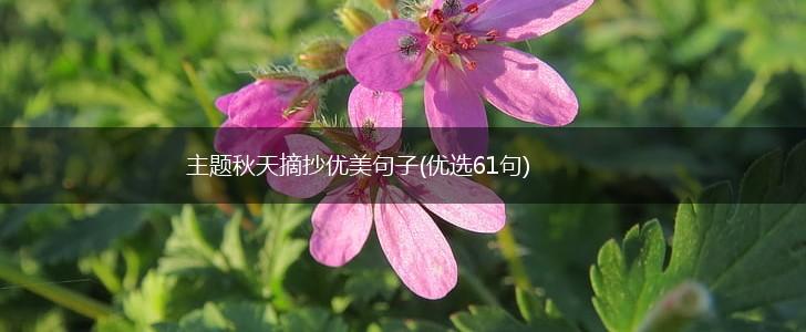 主题秋天摘抄优美句子(优选61句),第1张