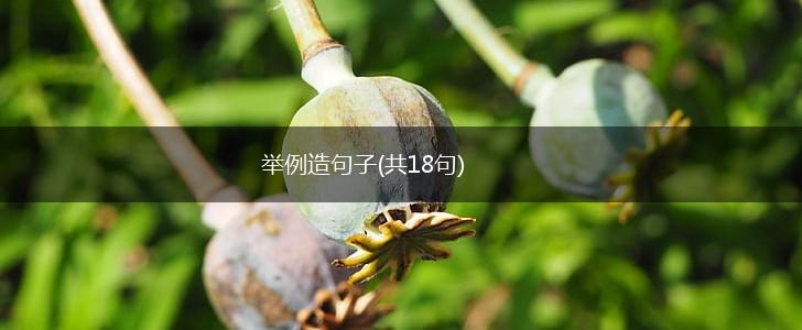 举例造句子(共18句),第1张