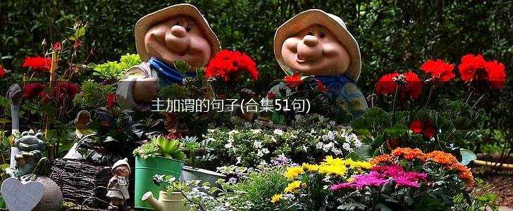 主加谓的句子(合集51句),第1张
