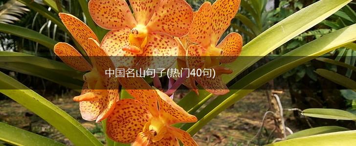 中国名山句子(热门40句),第1张