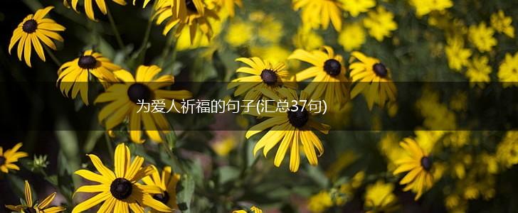 为爱人祈福的句子(汇总37句),第1张