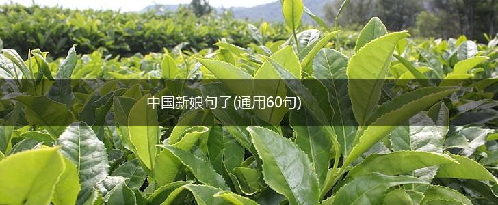 中国新娘句子(通用60句),第1张