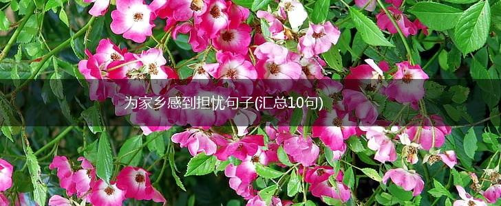 为家乡感到担忧句子(汇总10句),第1张